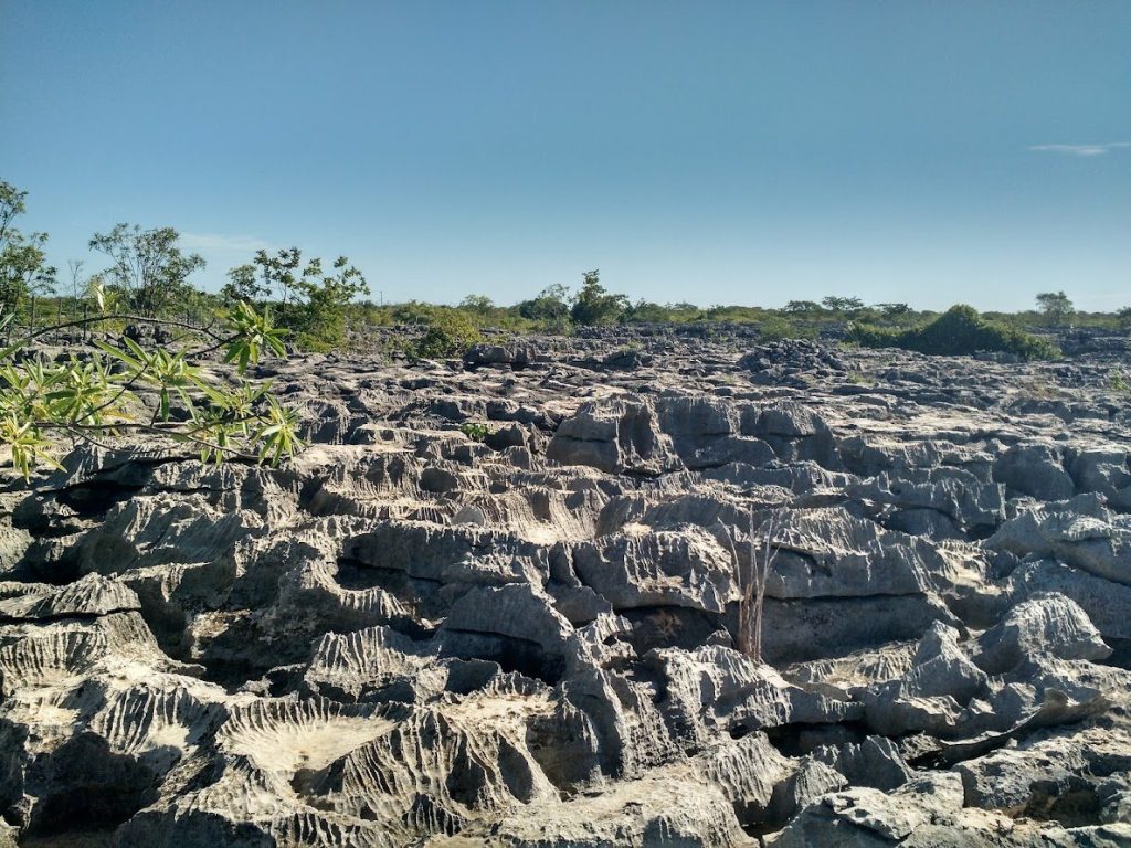 Lajedo de Soledade: A Prehistoric Archaeological and Paleontological Site in Brazil 3 Lajedo de Soledade
