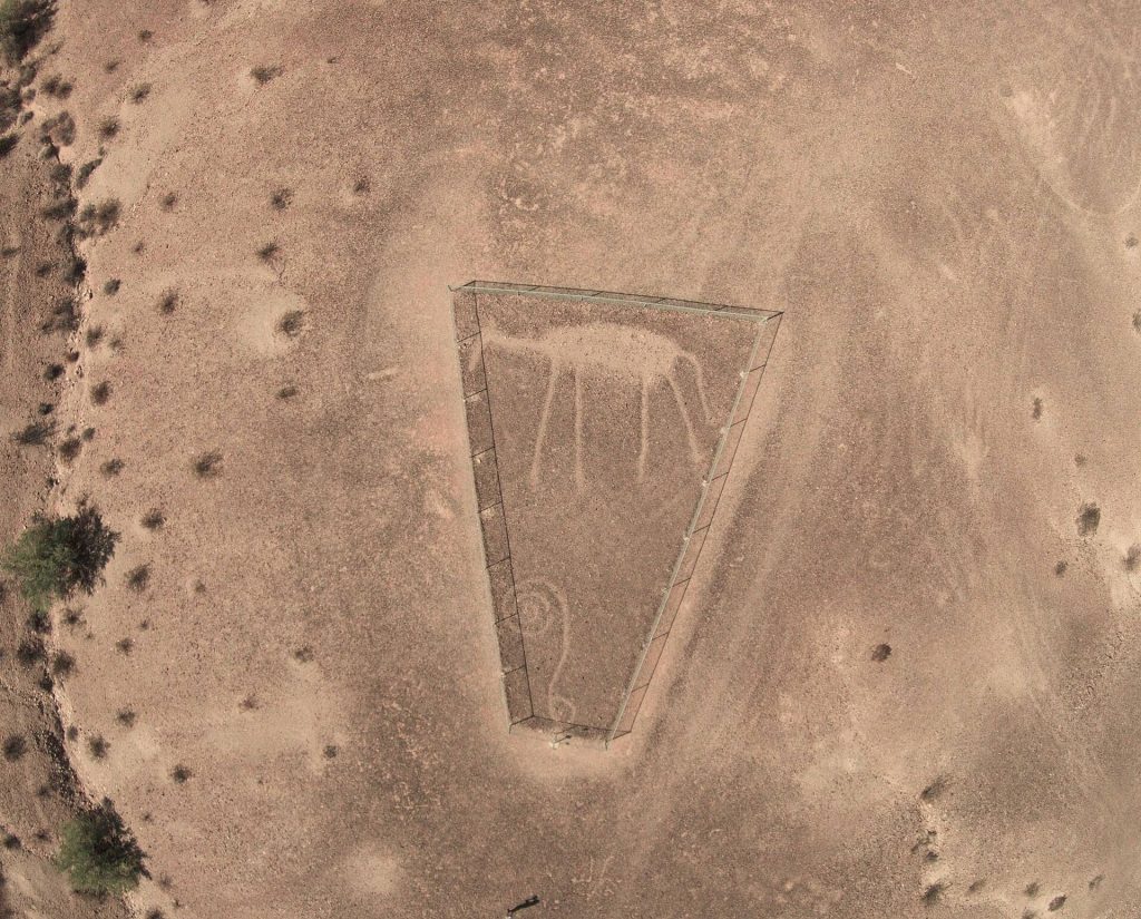 Blythe Intaglios: Prehistoric Ground Figures in California 3 Blythe Intaglios