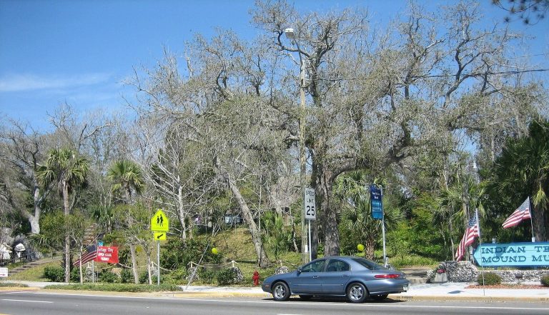 Fort Walton Mound: A Pensacola Culture Ceremonial Center