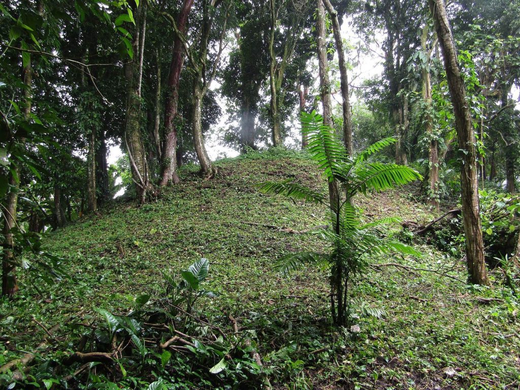 Los Naranjos: A Lenca Archaeological Center in Honduras 1 Los Naranjos
