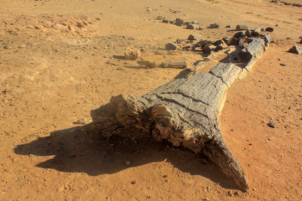 El-Kurru: A Kushite Royal Cemetery in Sudan 3 El-Kurru
