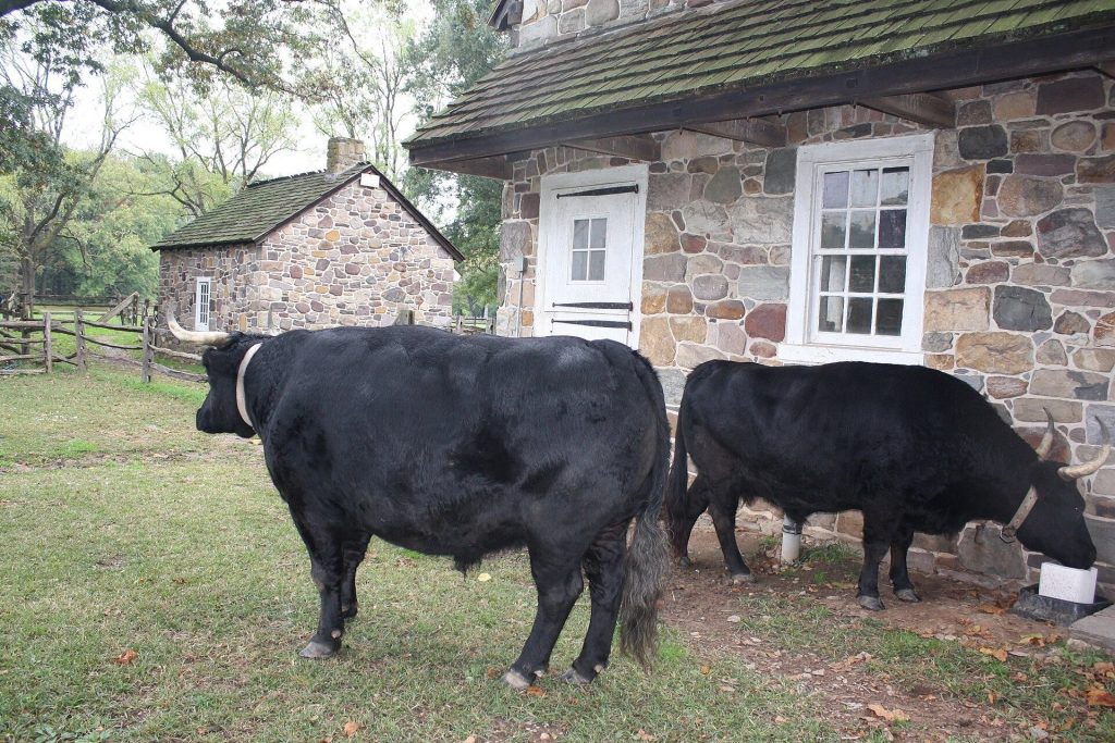 Pennsbury Manor: William Penn’s Colonial Country Estate in Pennsylvania 5 Pennsbury Manor