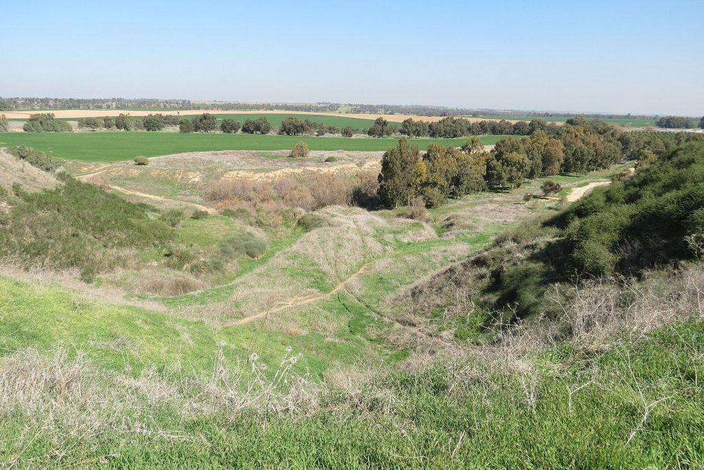 Tell Jemmeh: A Strategic Bronze and Iron Age Settlement in Israel 3 Tell Jemmeh
