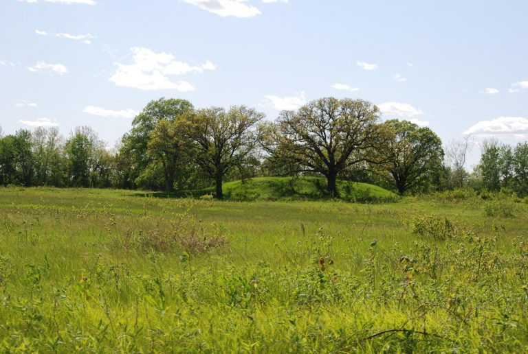 Dickson Mounds: A Native American Settlement and Burial-Mound Complex in Illinois