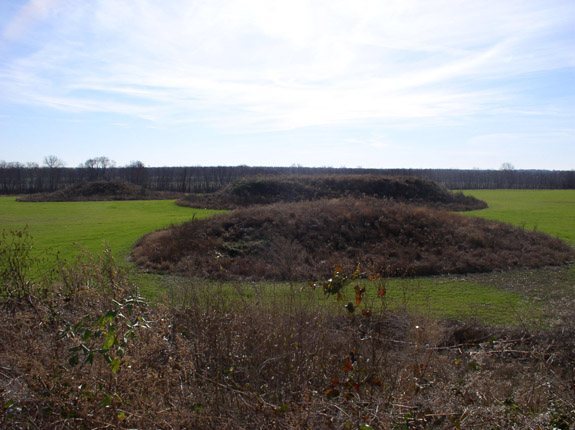 Kincaid Mounds State Historic Site: A Middle Mississippian Mound Center 1 Kincaid Mounds State Historic Site