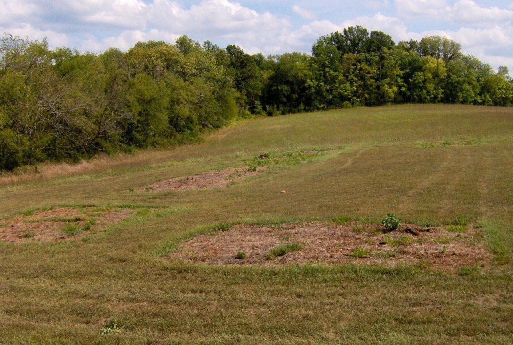 Bledsoe's Station: An Eighteenth-Century Fortified Frontier Settlement in Tennessee 1 Bledsoe's Station