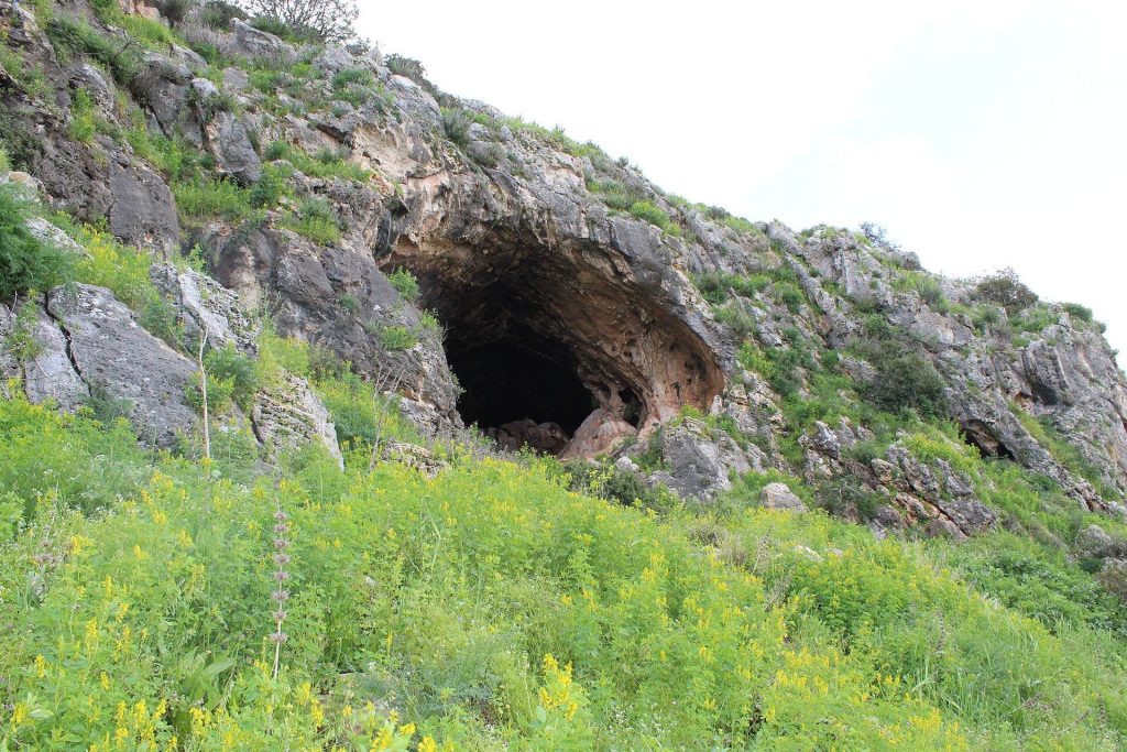 Raqefet Cave: A Prehistoric Cemetery and Ritual Site in Israel 1 Raqefet Cave