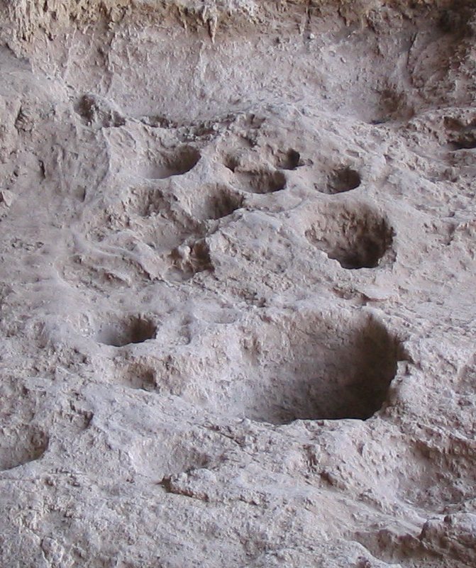 Raqefet Cave: A Prehistoric Cemetery and Ritual Site in Israel 2 Raqefet Cave