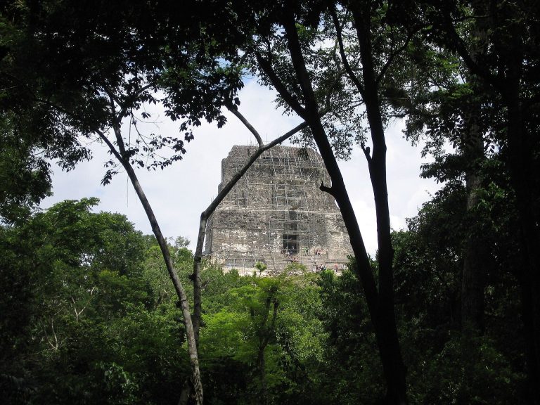 Tikal Temple IV: Maya Ceremonial and Funerary Temple in Guatemala