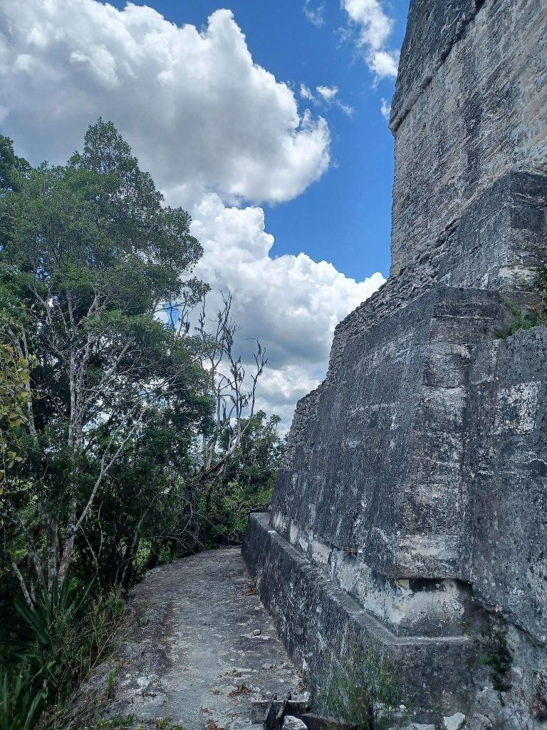 Tikal Temple IV: Maya Ceremonial and Funerary Temple in Guatemala 4 Tikal Temple IV