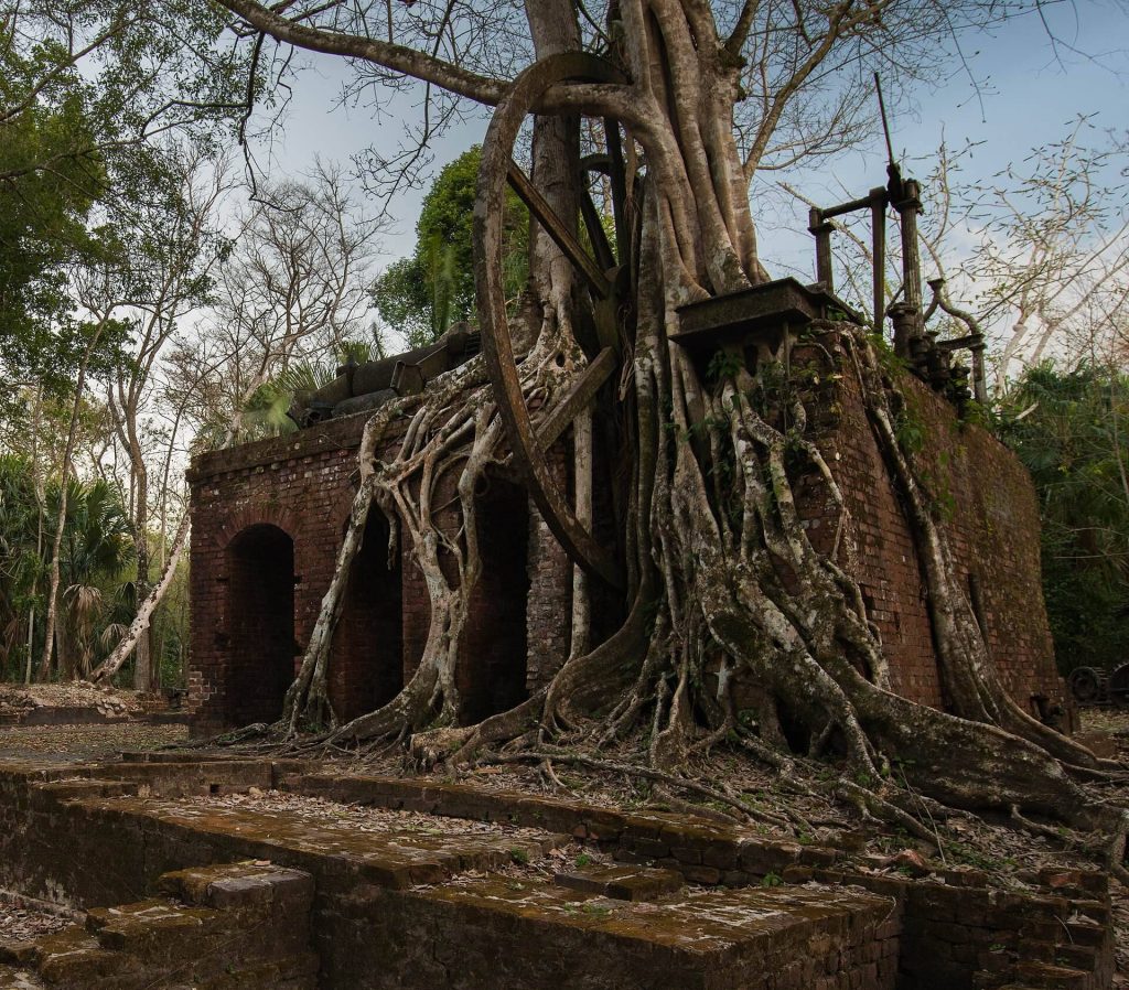 Lamanai: A Major Maya Archaeological Site in Belize 2 Lamanai