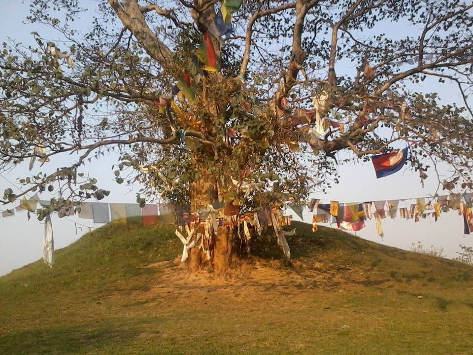 Ramagrama Stupa: A Buddhist Relic Monument in Nepal 3 Ramagrama stupa