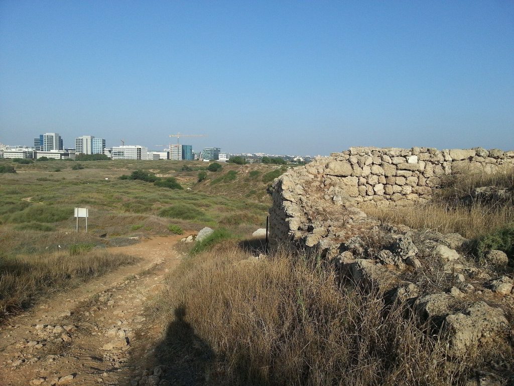 Tel Michal: A Multi-Period Coastal Trading and Military Site in Israel 2 Tel Michal