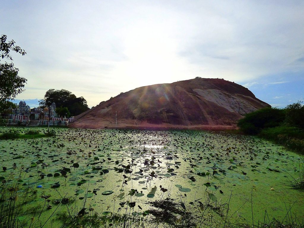 Samanar Hills: A Jain Heritage Site in Tamil Nadu 4 Samanar Hills