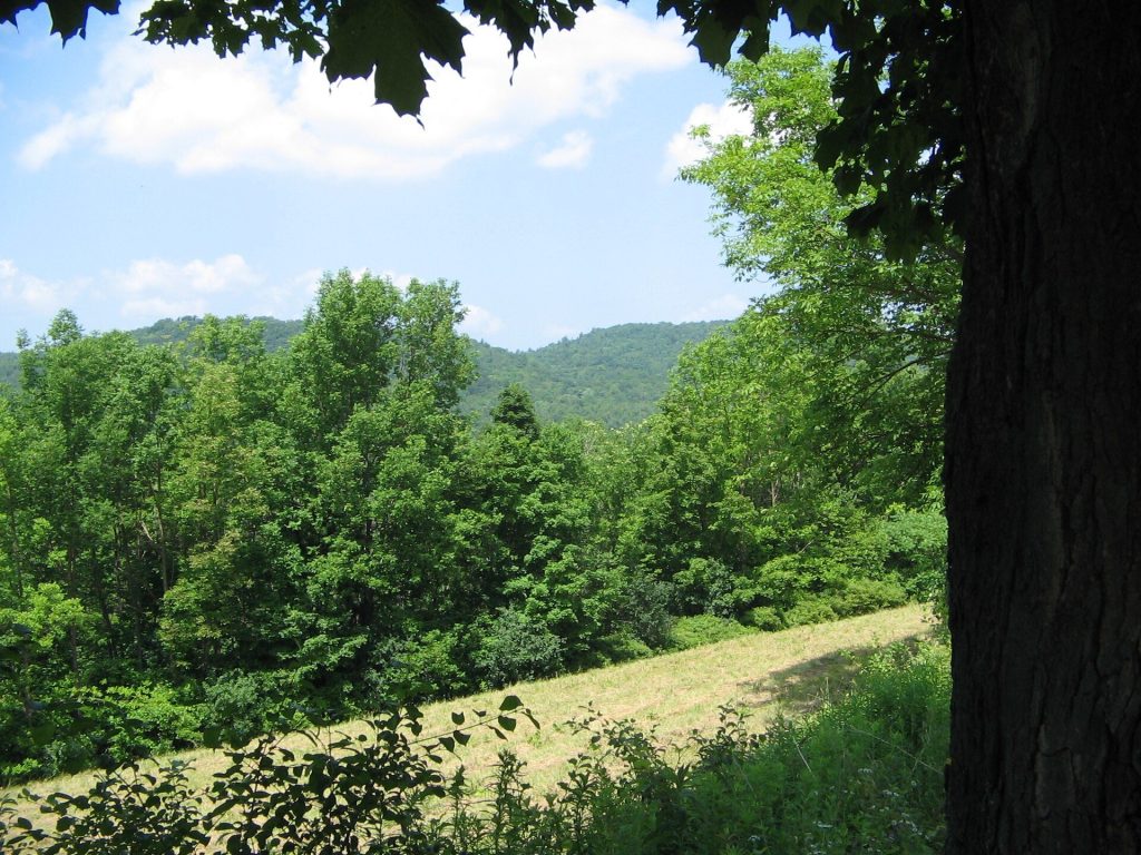 Hubbardton Battlefield: A Revolutionary War Rear-Guard Battlefield in Vermont 3 Hubbardton Battlefield