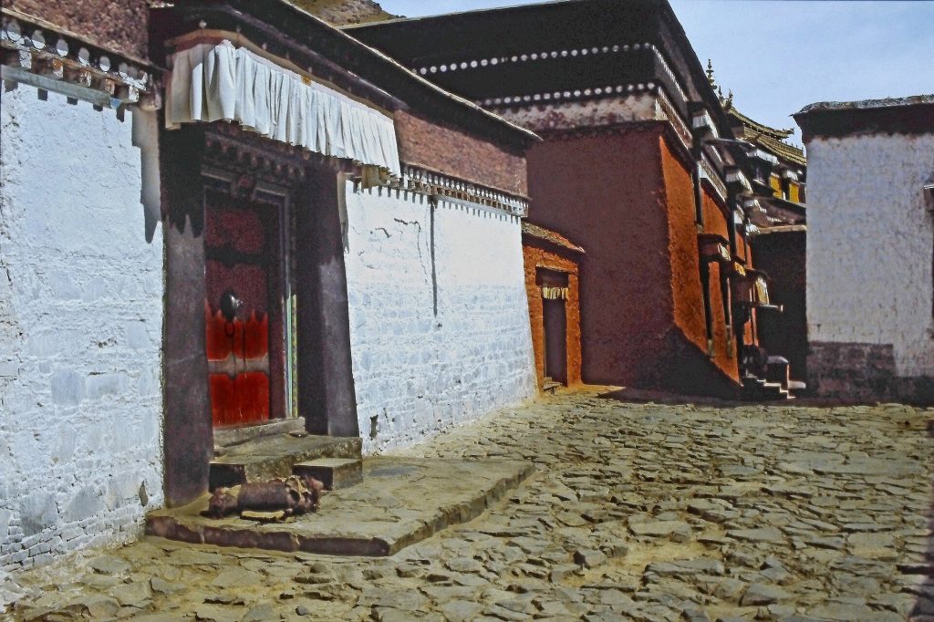 Tashilhunpo Monastery: A Gelug Buddhist Monastery in Shigatse 2 Tashilhunpo Monastery