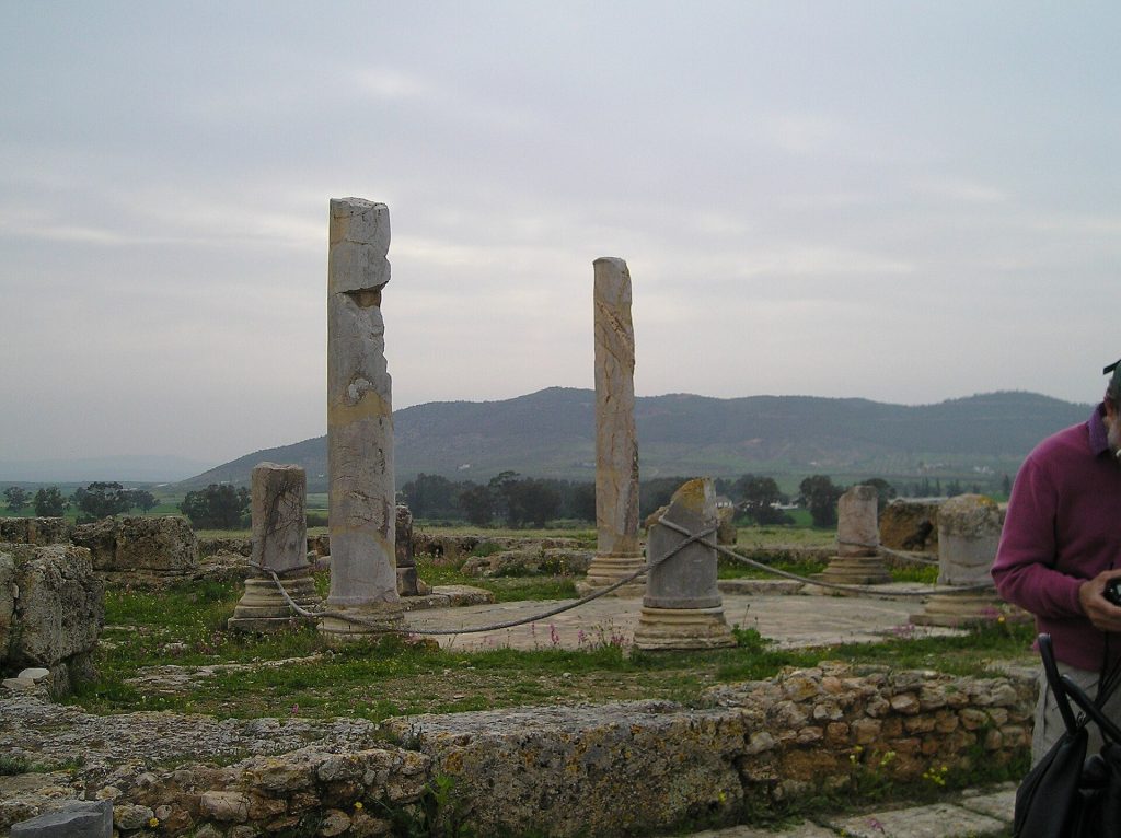 Thuburbo Majus: A Punic Settlement and Roman Town in Tunisia 3 Thuburbo Majus