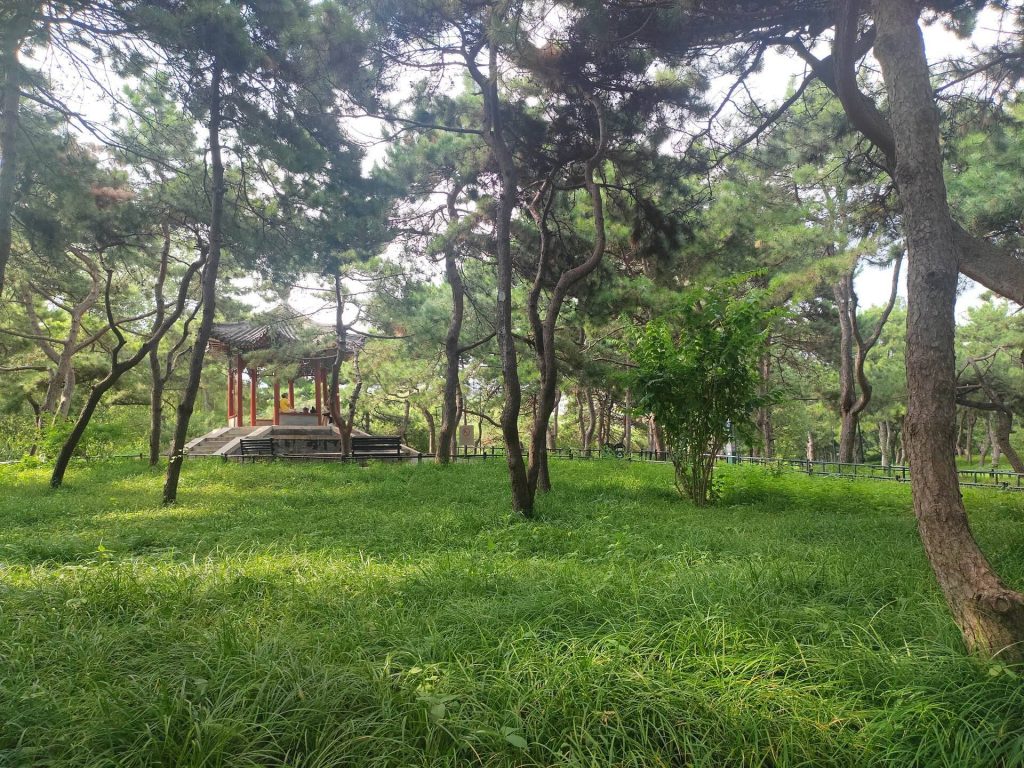 Purple Bamboo Park: A Historic Chinese Garden in Beijing 2 Purple Bamboo Park
