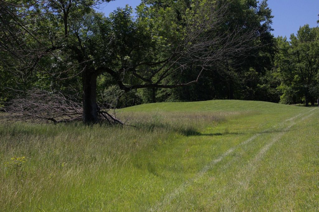 Mound 72: A Mississippian Mortuary Mound at Cahokia 1 Mound 72