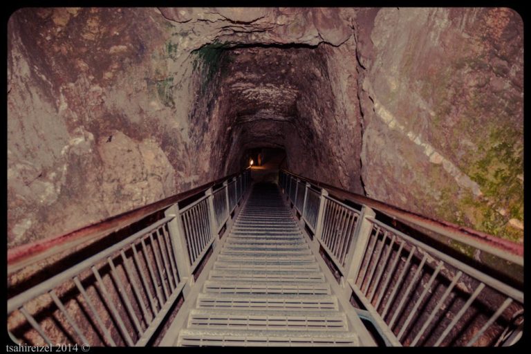 Tel Jezreel: An Iron Age Fortress and Royal Residence in Israel