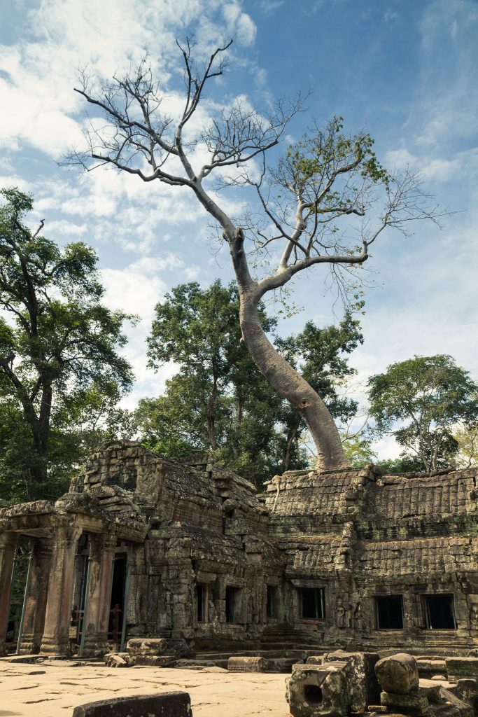 Ta Prohm: A Khmer Buddhist Monastery at Angkor 1 Ta Prohm