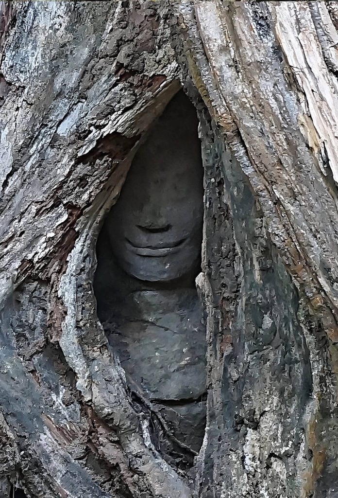 Ta Prohm: A Khmer Buddhist Monastery at Angkor 2 Ta Prohm
