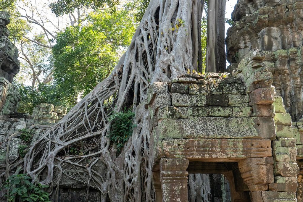 Ta Prohm: A Khmer Buddhist Monastery at Angkor 5 Ta Prohm