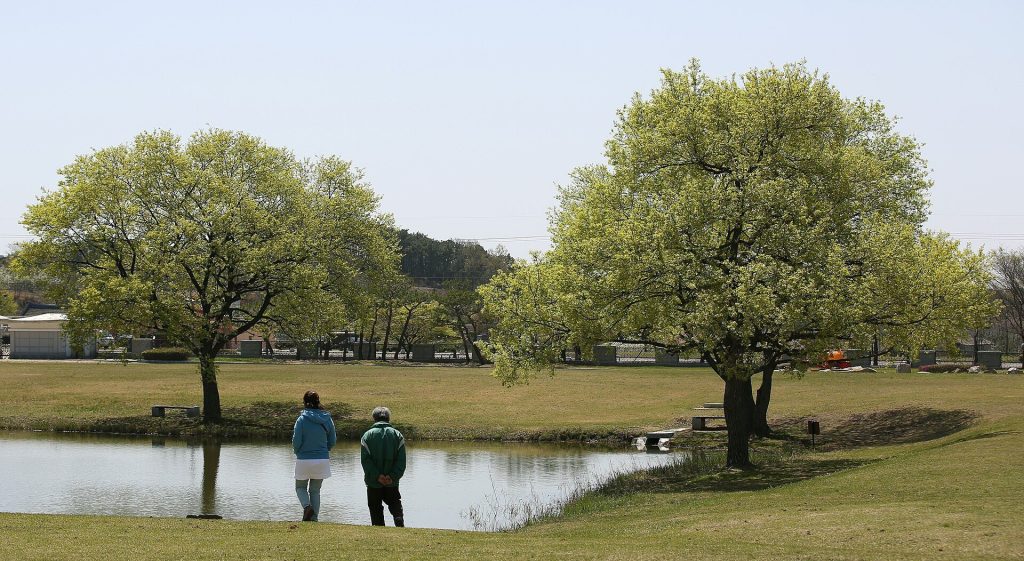 Mireuksa: Baekje’s State-Protecting Buddhist Temple in South Korea 3 Mireuksa