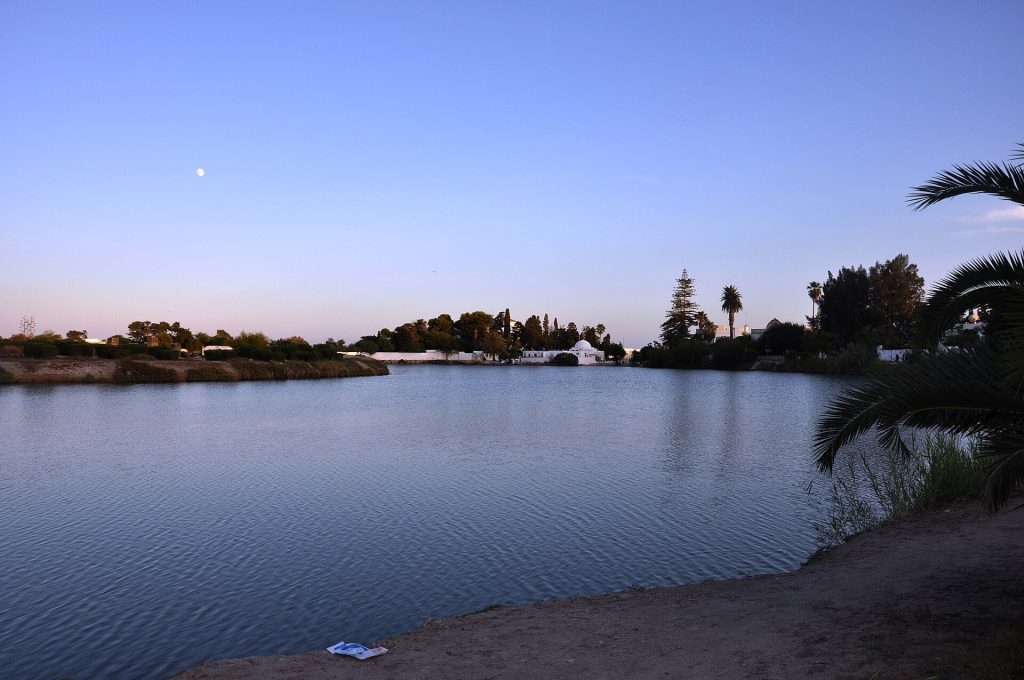 Punic Ports of Carthage: Ancient Commercial and Military Harbours 2 Punic ports of Carthage