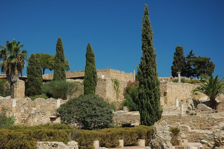 Odeon Hill and the Roman Villas Park of Carthage: A Roman Theatrical and Residential District