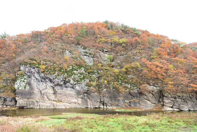 Bangudae Petroglyphs: Prehistoric Evidence of Whaling and Maritime Culture