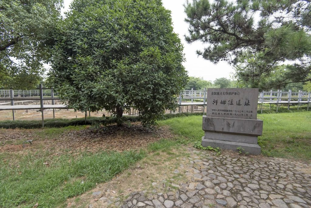 Hemudu Site: A Neolithic Archaeological Settlement in China 1 Hemudu Site