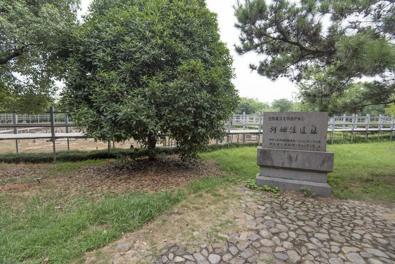 Hemudu Site: A Neolithic Archaeological Settlement in China