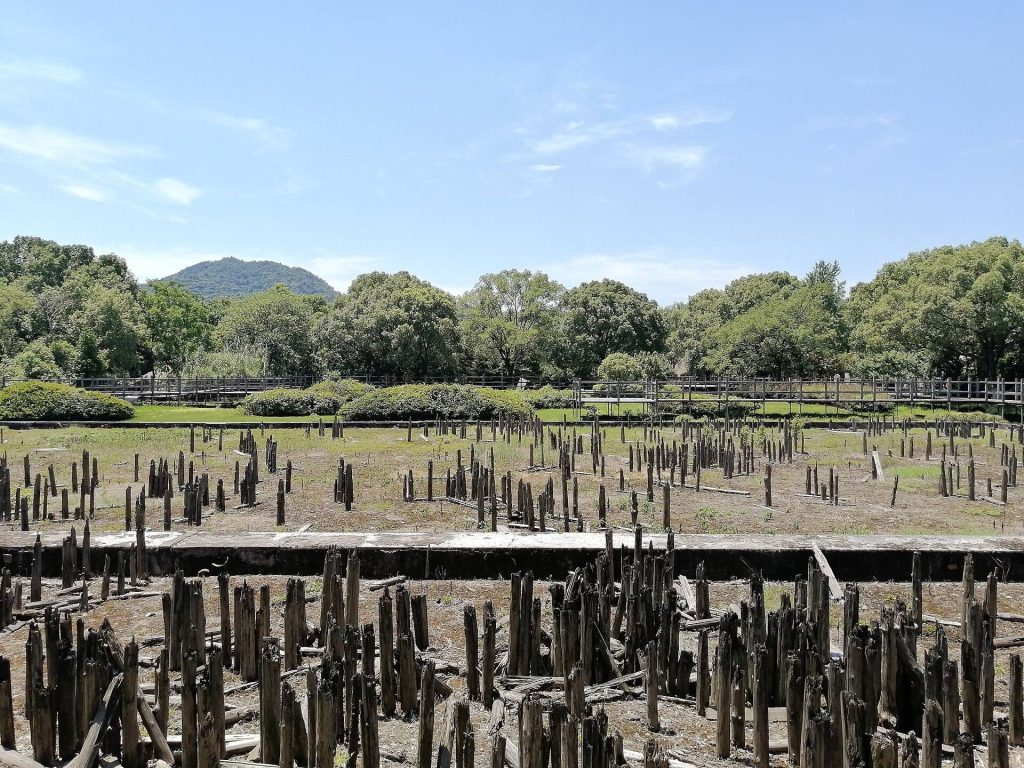 Hemudu Site: A Neolithic Archaeological Settlement in China 2 Hemudu Site