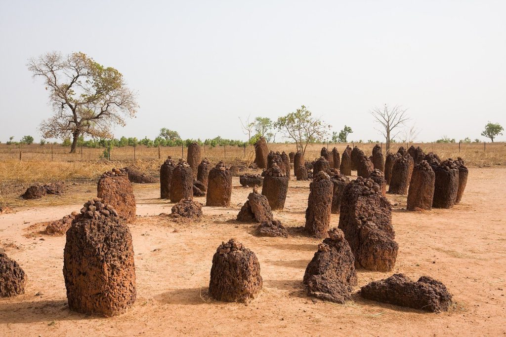 Senegambian Stone Circles: A Megalithic Funerary and Ritual Landscape 2 Senegambian stone circles