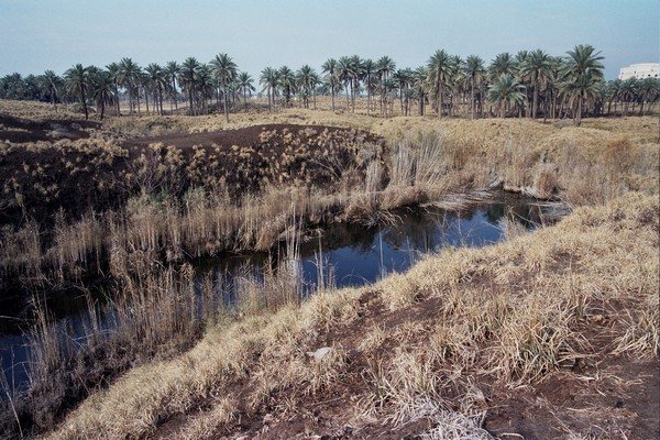 Etemenanki: Babylon’s Ziggurat Dedicated to Marduk