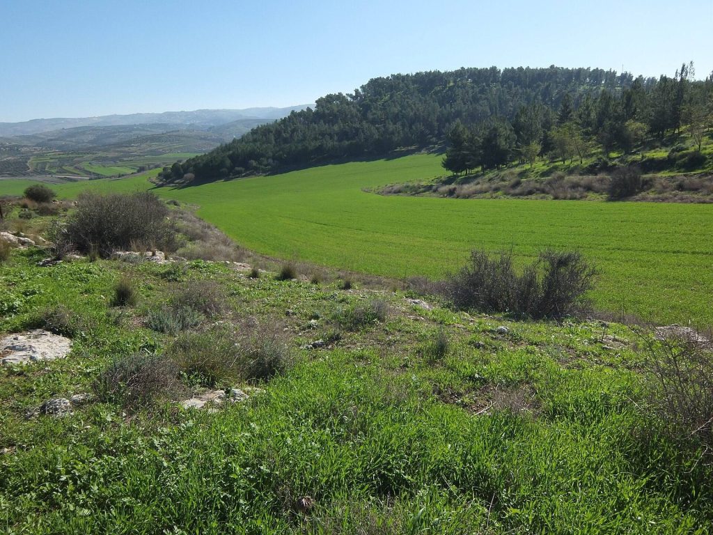 Adullam: A Biblical Settlement and Archaeological Site in Israel 1 Adullam