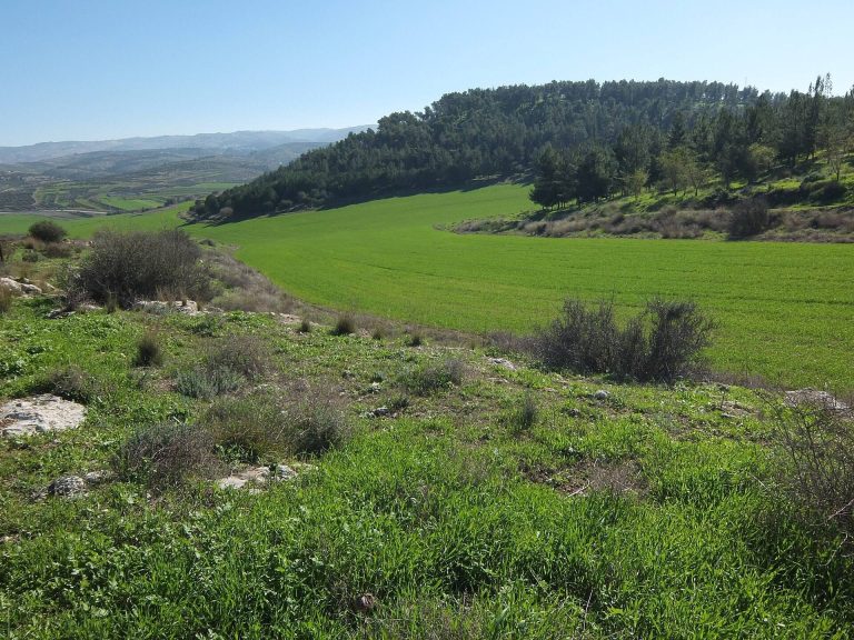 Adullam: A Biblical Settlement and Archaeological Site in Israel