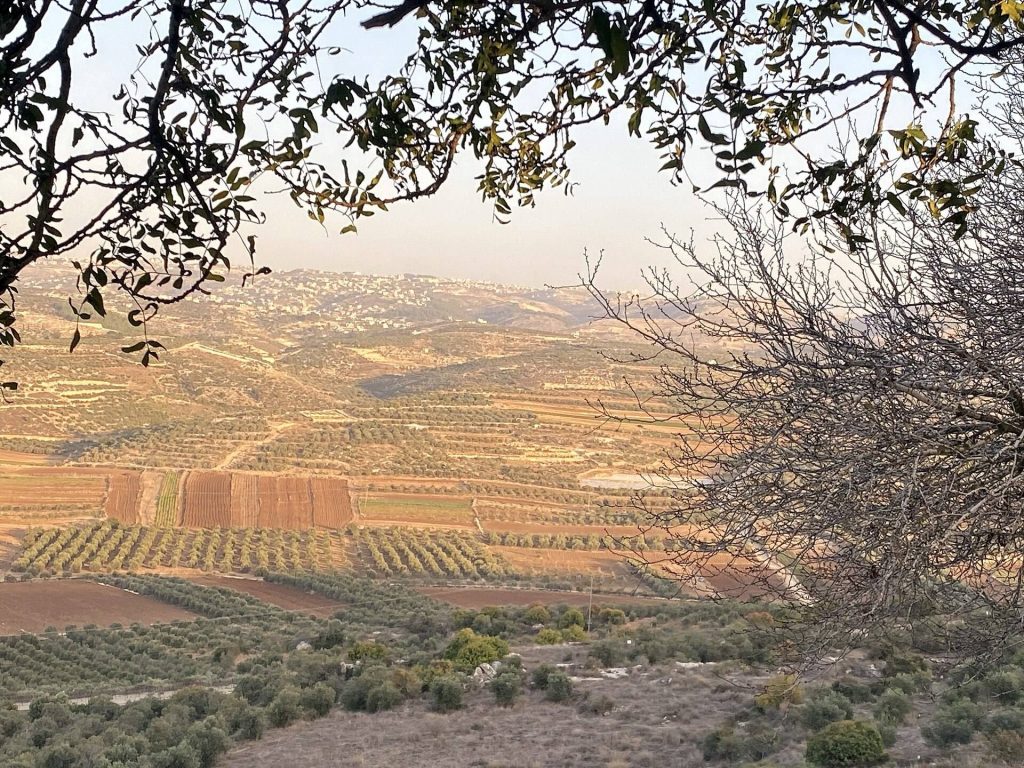 Adullam: A Biblical Settlement and Archaeological Site in Israel 2 Adullam