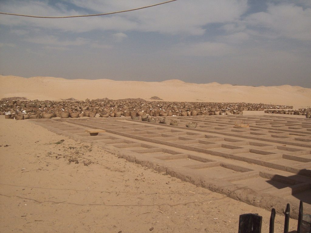 Umm el-Qa'ab: An Ancient Egyptian Royal Necropolis near Abydos 3 Umm el-Qa'ab