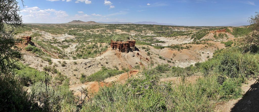 Olduvai Gorge: A Palaeoanthropological and Archaeological Site in Tanzania 1 Olduvai Gorge