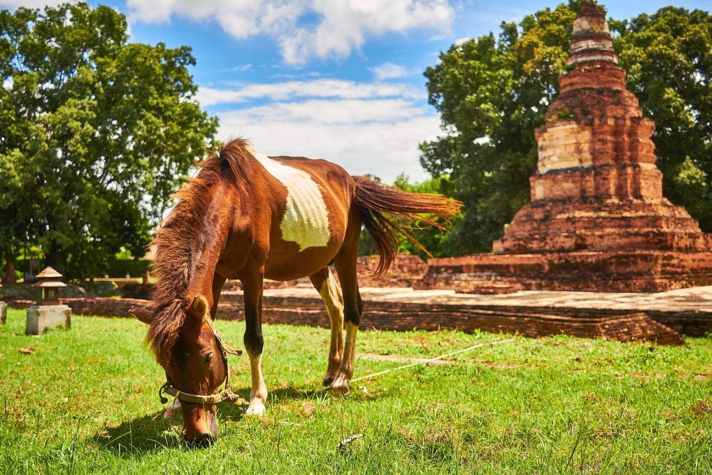 Wiang Kum Kam: The First Capital of King Mangrai 4 Wiang Kum Kam