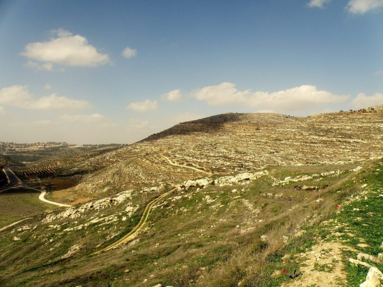 Shiloh: An Ancient Israelite City and Sanctuary