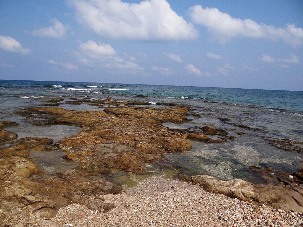 Tel Shikmona: An Ancient Coastal Settlement at Haifa 3 Tel Shikmona