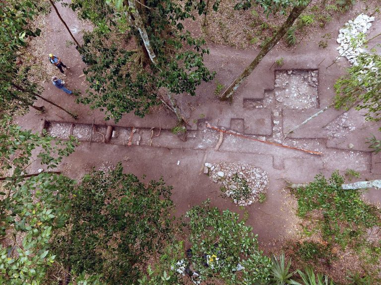 El Tintal: A Major Maya City in Guatemala