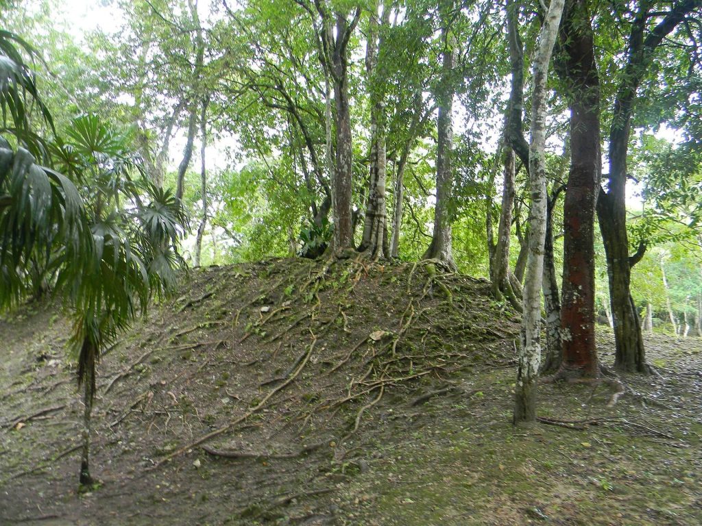 Cahal Pech: A Maya Regional Center in Belize 5 Cahal Pech