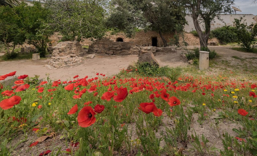 Tophet of Carthage: A Punic Sacred and Funerary Complex in Tunisia 2 Tophet of Carthage