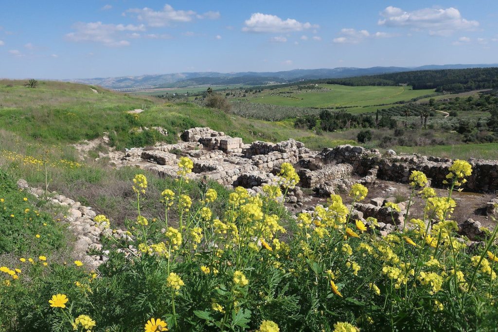 Gezer: The Ancient Canaanite City and Archaeological Tell in Israel 2 Gezer