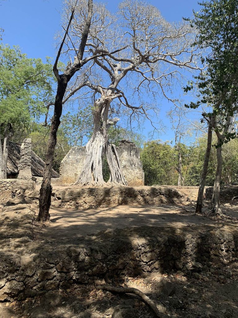 Ruins of Gedi: A Medieval Swahili Coastal Settlement 2 Ruins of Gedi