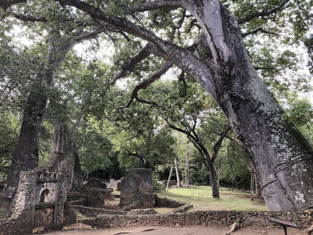 Ruins of Gedi: A Medieval Swahili Coastal Settlement 3 Ruins of Gedi